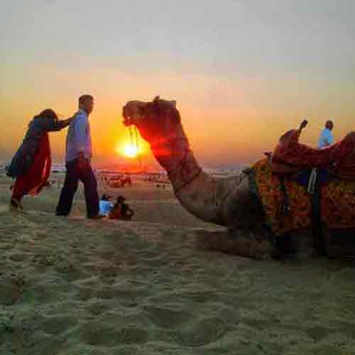 Camel Safari Jaisalmer Tour