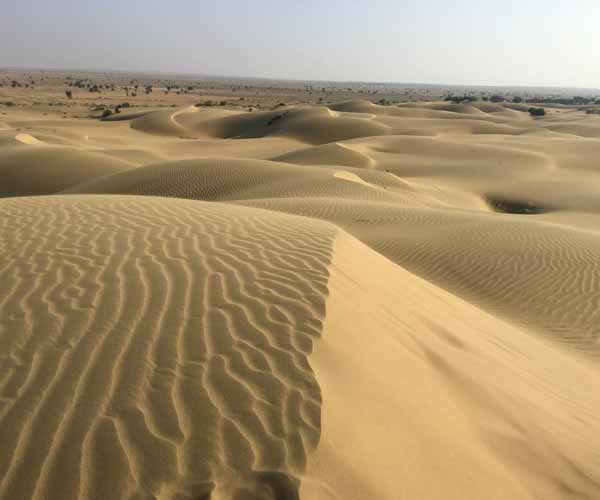 Sam Sand Dunes Jaisalmer